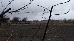 Весенняя обрезка яблонь на подвоях М-9 и ММ 106.