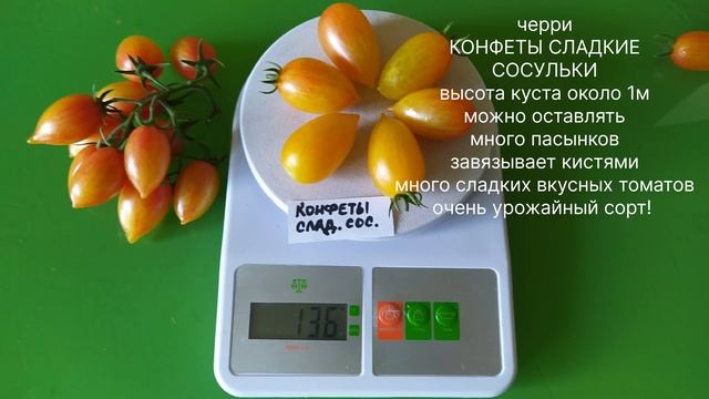 КАТАЛОГ ТОМАТОВ НА 2026 ГОД. Лучшие сорта Софии Сааковой смотреть онлайн