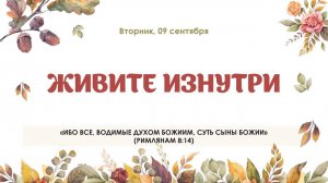 Живите изнутри