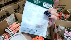 💞В Светофор привезли луковичные , наборы для рассады