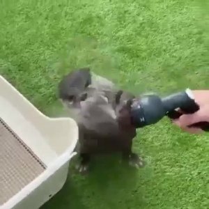 Ты тарифы видел?! Экономь воду!!!😁