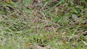 скатывается с горки