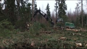 АвтоПлюс. СпецНаз. Лесозаготовительная техника John Deere