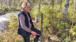 Шинок 2025. Доступные тропы Алтая