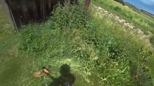 ZimAni 143RII против кустореза STIHL FS 400
