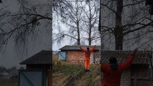 Арбористика| Спил деревьев целиком и по частям #альпин
