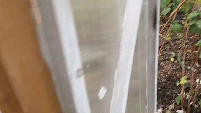 Посадка озимого лука . смотреть онлайн