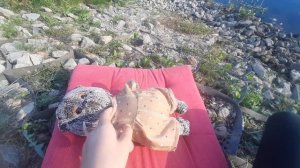 Миша на рыбалке
ВЛОГ👍