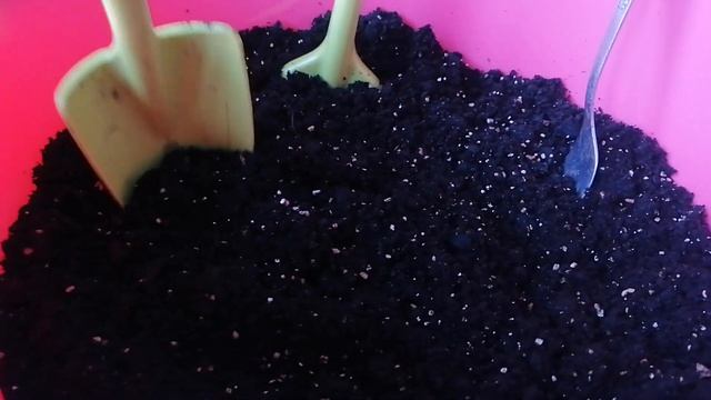 Пикировка рассады. Мастер-класс для начинающих огород смотреть онлайн