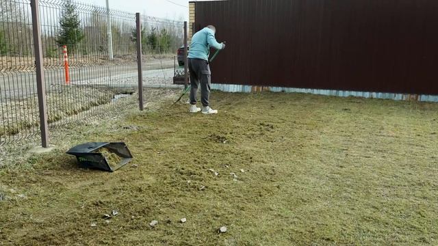 Как убрать старую траву и вырастить идеальный газон? О смотреть онлайн