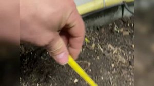 Капельный полив. Инструкция по установке.