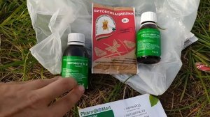 БИО  Обработка клубники осенью 2020.