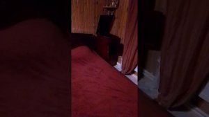 Рио-Рита Лоссаса и граммофон Юлий Генрих Циммерман