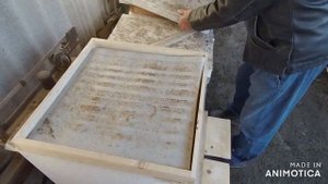 Зима Живые ли пчёлки