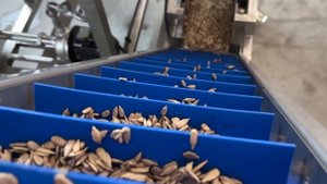 Линия для соления и обжарки семечек и орехов