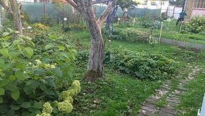 Толя устал...