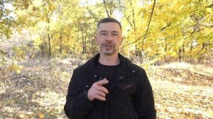 Пневматическая винтовка магнум Beeman Mantis GP. Обзор, тест,