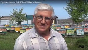 ПРОБЛЕМЫ ПЧЕЛОВОДСТВА В ТАМБОВСКОЙ ОБЛАСТИ. ИЮНЬ 2019 Г?