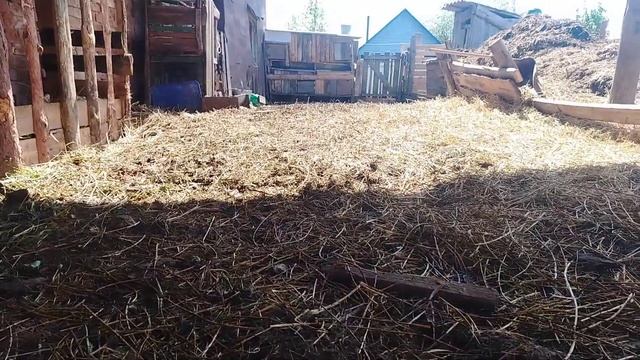 Самый дешёвый деревенский забор. Минимум вложения... смотреть онлайн