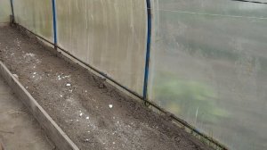 Обработка почвы в теплице осенью от вредителей и боле?