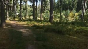 От третьего корпуса до кострища