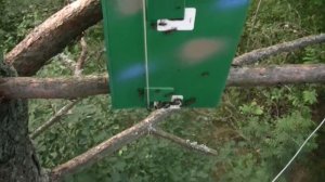 ЛОВУШКА ДЛЯ ПЧЁЛ. ПОДГОТОВКА И СНЯТИЕ ПОЙМАННОГО РОЙ Б