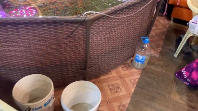 Пруд в гараже.Будем выращивать лотосы смотреть онлайн