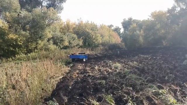 Подготовка участка под посадку озимых культур. Чеснок смотреть онлайн