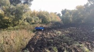 Подготовка участка под посадку озимых культур. Чеснок