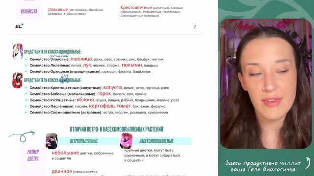 ЦВЕТКОВЫЕ РАСТЕНИЯ: необходимая база для ОГЭ по биоло?