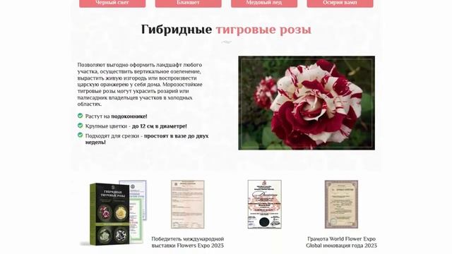Гибридные ТИГРОВВЫЕ РОЗЫ