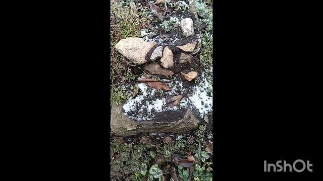 Сею цветы под зиму. Вторая серия. смотреть онлайн