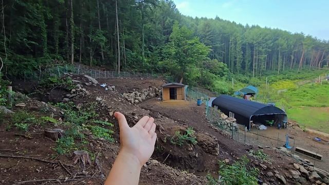 Новый питомец и куча проблем на корейской даче / KOREA VLOG смотреть онлайн