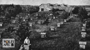 #Кашковский В. Г. Метод пчеловождения сибирского пчело