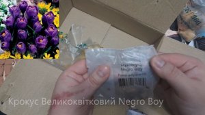 Розпаковка: Ще одна посилка від магазину Яскрава Клум?