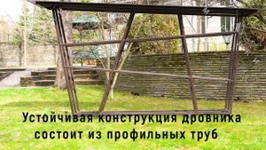 2024 05 ДРОВНИК