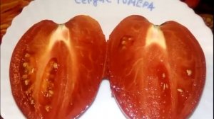 Томат Немецкое бычье сердце Гомера Hamer's German Oxheart