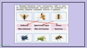 Окружающий мир 4 класс рабочая тетрадь. Жизнь луга