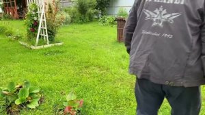 Уютная дача: Высаживаем новые растения. Рецепт чесноч?