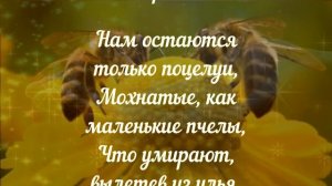 Осип Мандельштам — Возьми на радость из моих ладоней