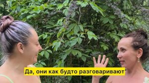 Отзыв.СОЛЯР