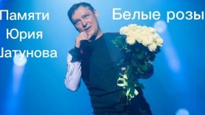 Юрий Шатунов. Белые розы. Хиты. Популярные песни. Хиты 8