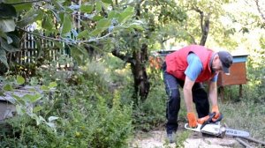 Бензопила глохнет на холостых #shorts