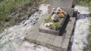 Как избавиться от травы вокруг могилы? Секрет соли рас