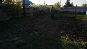 Прополка картофеля от сорняков ПОДВАЛ ИЛЬИЧА