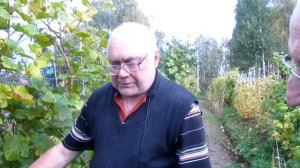 День виноградаря часть 5