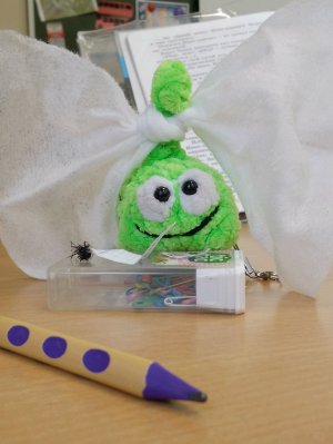 я покажу чем я чему я научилась за 5 лет в вокальном отделении