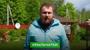 Как выбрать лучший насос для скважины? Не покупай пока