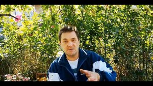 О пчелином воровстве. Напад пчел!