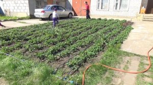 Система капельного полива своими руками. Второй сезон